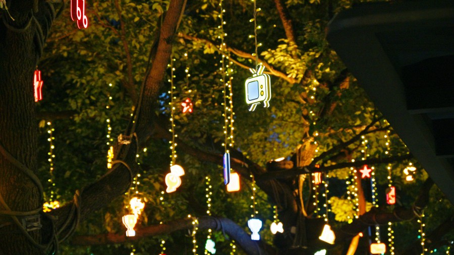 1721374309290378pDE4.jpg DSC_3107.JPG